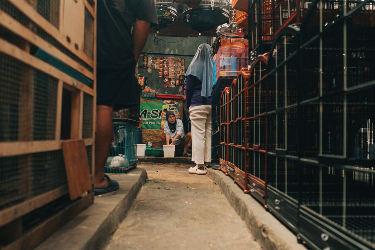 Diskon Palsu di TikTok Shop: Kapan Harga Coret Bisa Dipidana