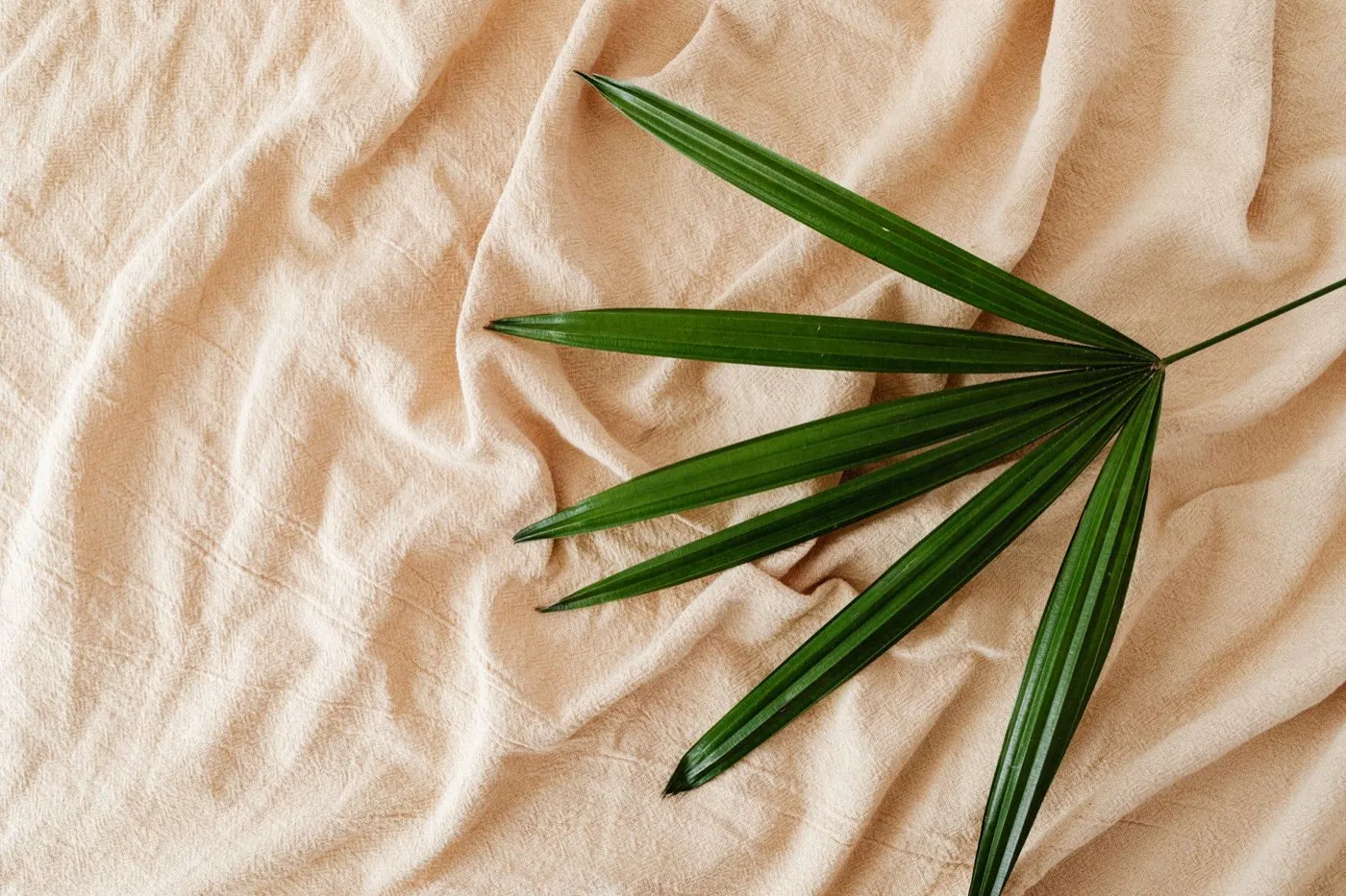 Bamboo Rayon Labeling: When You Can Call a Textile "Bamboo" and When It Is Rayon