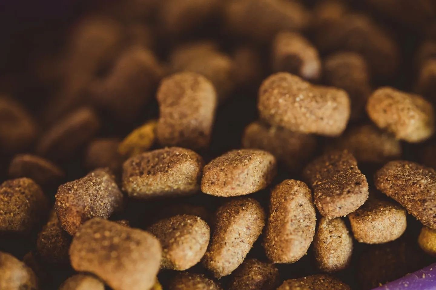Pet Supplement Claims: When 'Hip and Joint Support' Becomes an Unapproved Animal Drug