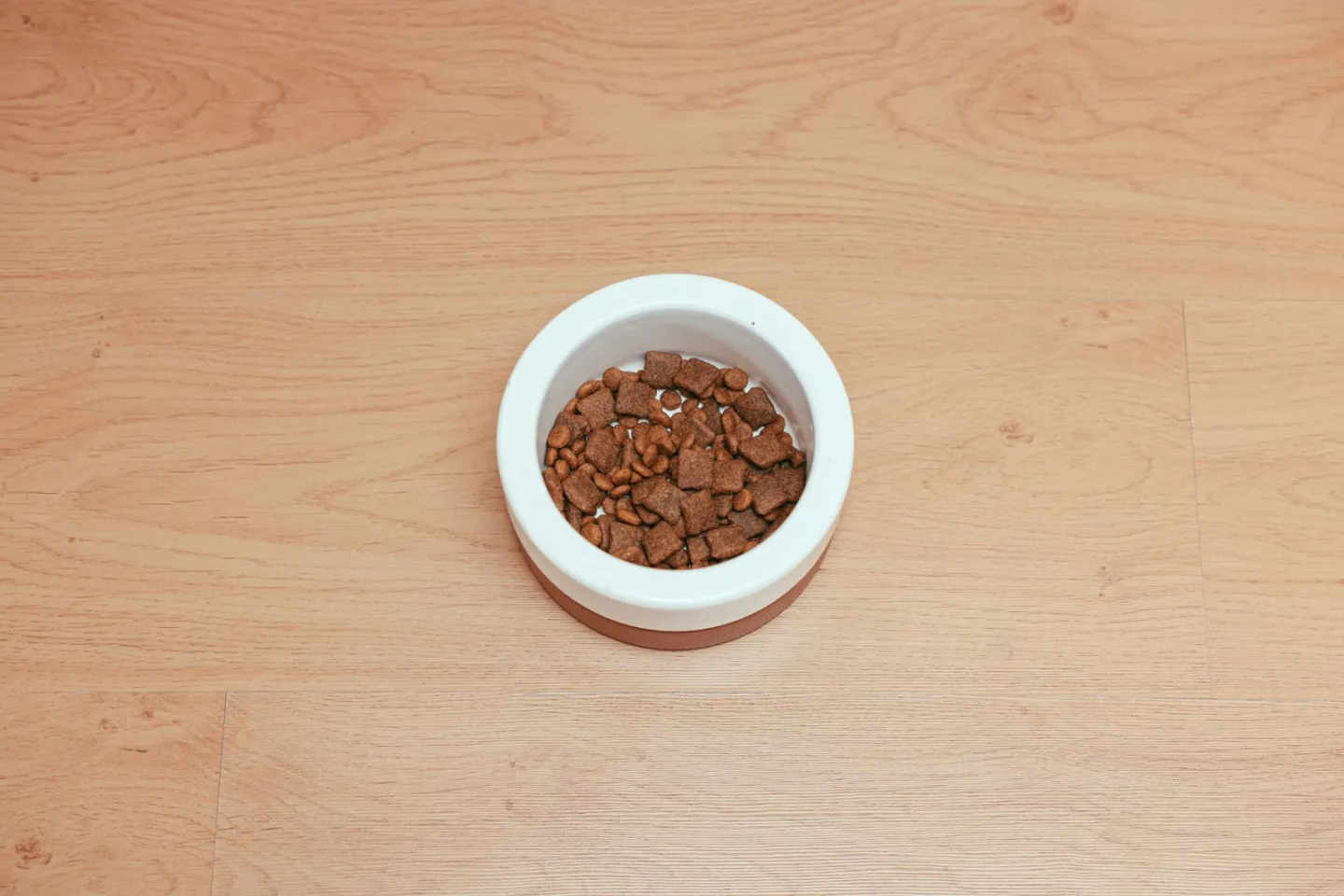 The AAFCO Statement: What ‘Complete and Balanced’ Requires on a US Pet Food Label